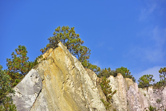 白土