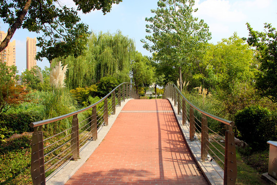 滁河支流茉湖公园景观提升改造