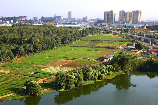 菜地城乡结合部郊区