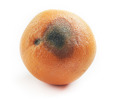 腐烂的橙子