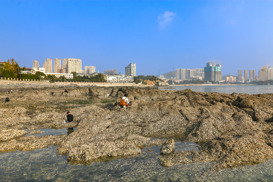 海滨