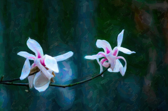 风景水彩油画