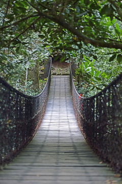 楚雄紫溪山紫顶寺吊索桥