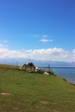 赛里木湖