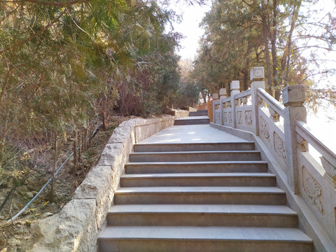 公园阶梯步道