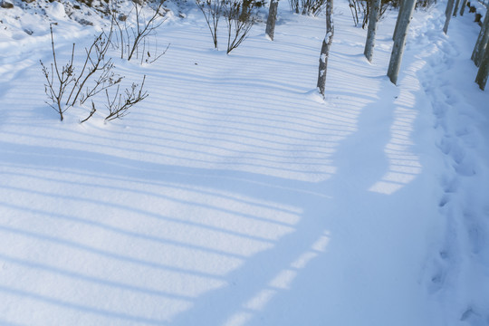 冬季雪景风光