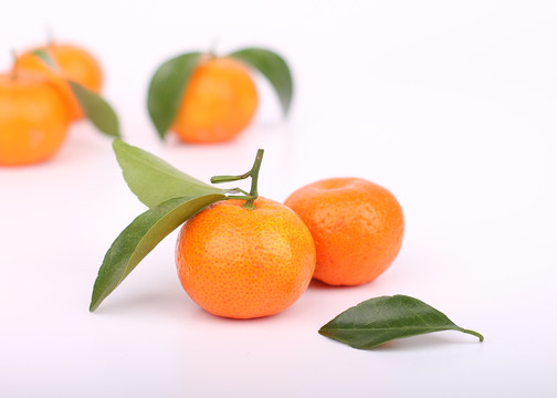 砂糖橘