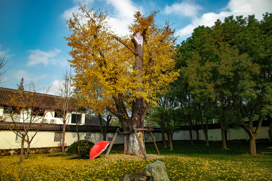 寒山寺