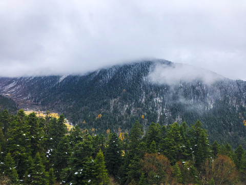 四川高原湿地黄龙雪景