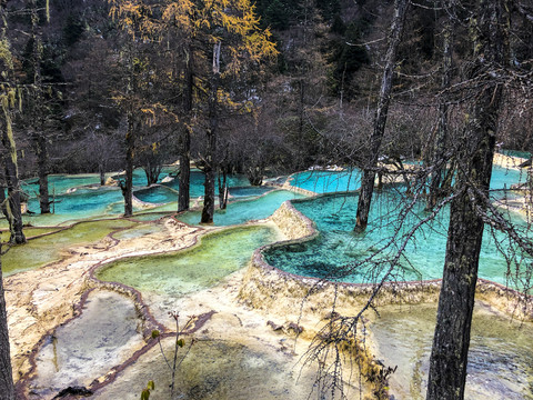 四川高原湿地黄龙五彩池