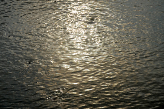 水面波纹阳光