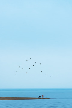 海边沙滩上的钓鱼人和飞鸟