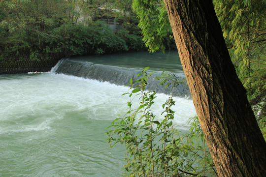 绿道河水