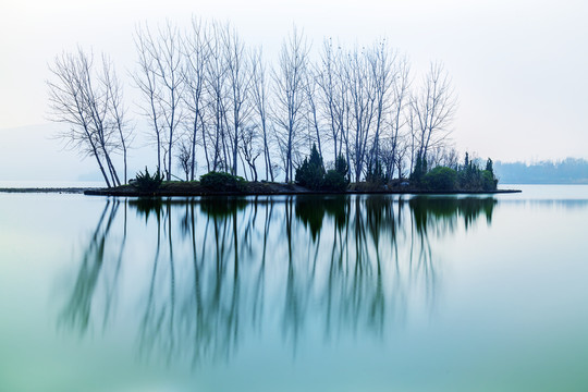 云龙湖树林倒影风景画