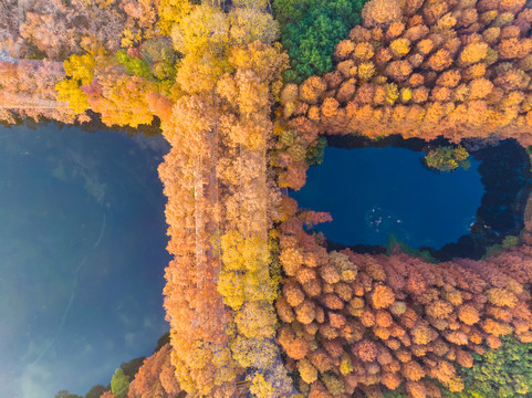 武汉东湖风景区深秋航拍风光