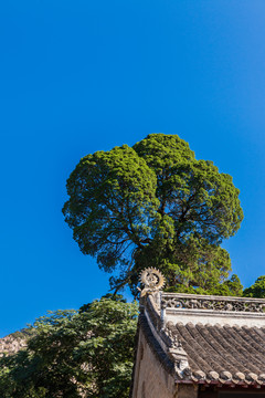 中国丹东大孤山寺庙古建筑05