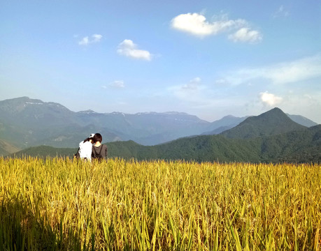 山区稻田