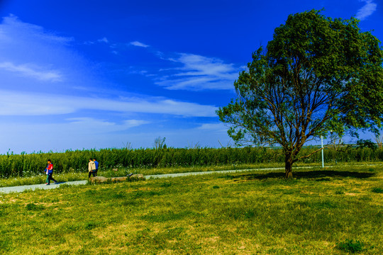 滴水湖风景区