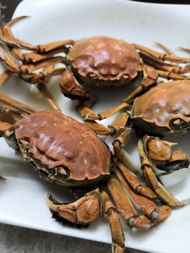 大闸蟹