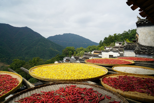 婺源篁岭晒秋人家美景