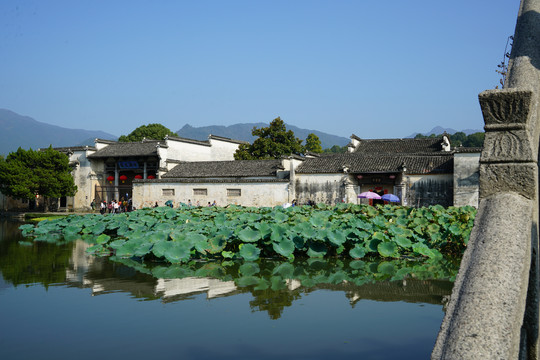 黄山宏村南湖荷塘边的建筑