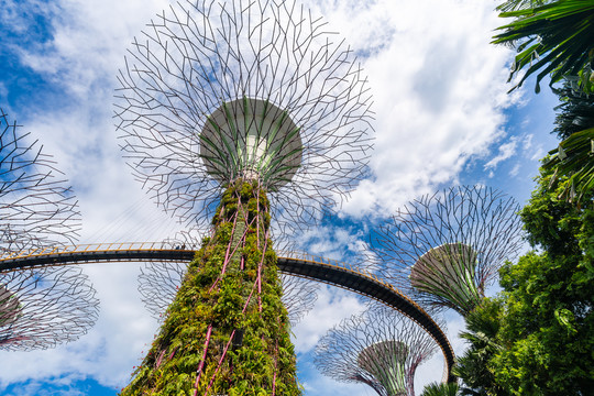 新加坡滨海湾花园