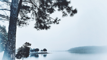 湖边雾景