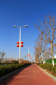 城市彩色骑行道
