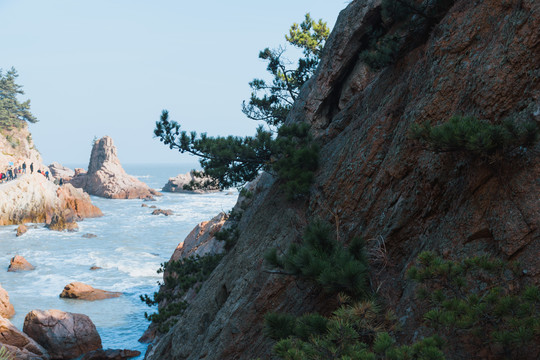 荣成成山风景区的礁石与海浪