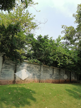 绿草地与围墙
