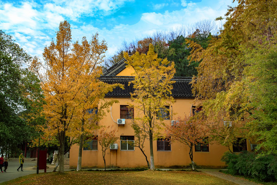 镇江金山寺