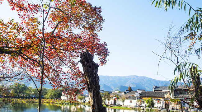 宏村美景