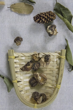 香菇