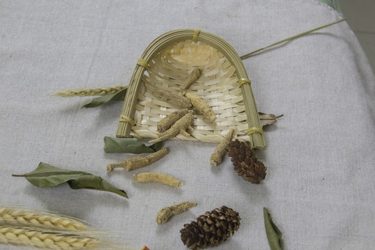 花旗参滋补品