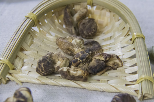 香菇
