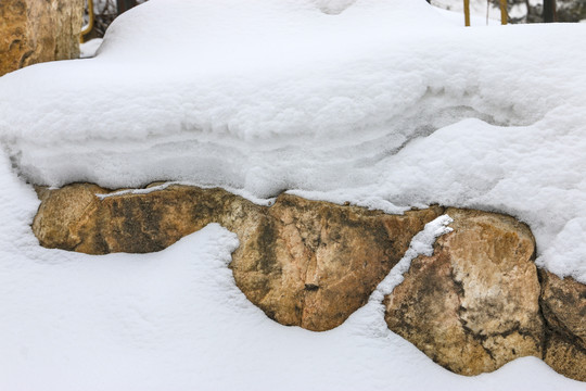 雪