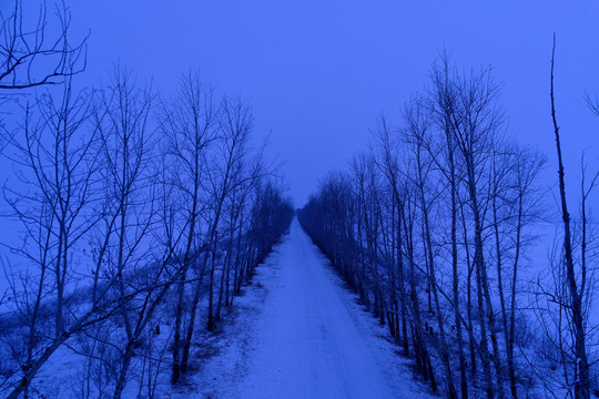 雪原道路树林夜色