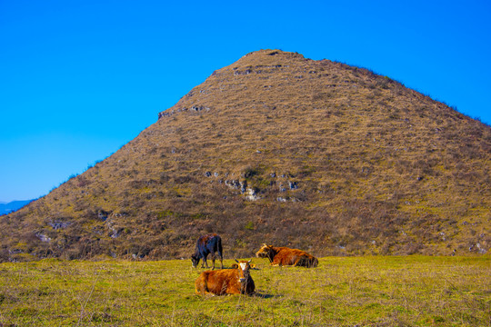 丘陵冬景