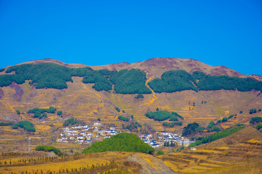 丘陵