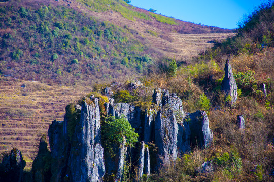 小石林