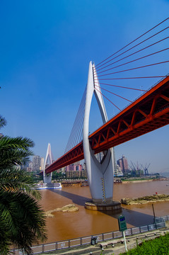 重庆东水门大桥