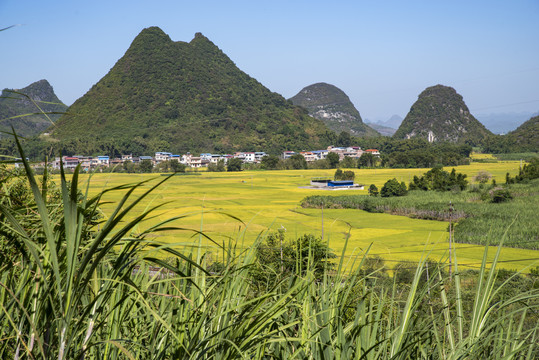 山丘村庄农田