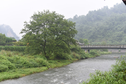 烟雨张家界