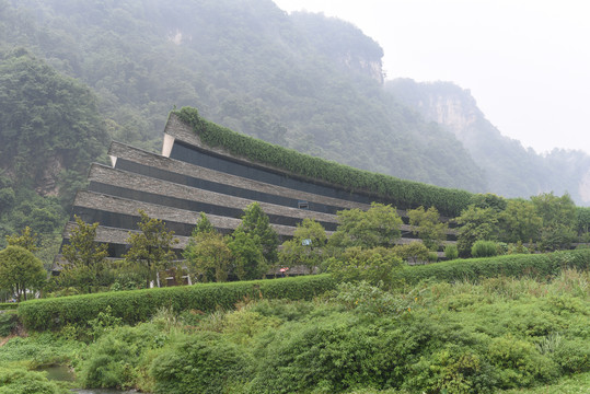 烟雨张家界