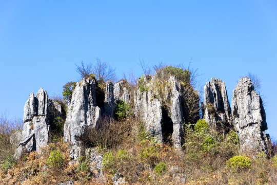 小石林