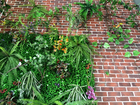 植物与红砖背景墙