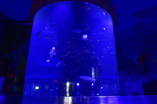 海洋馆玻璃柱鱼缸