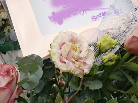 花卉