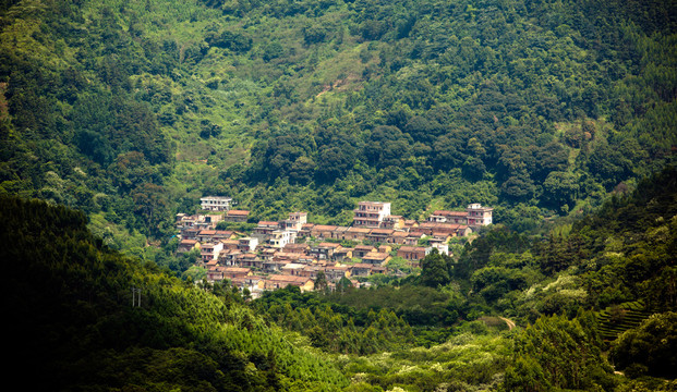 大山里的村落