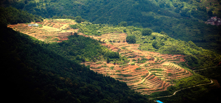 大山里的梯田